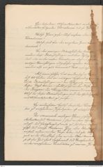 Nachlass Franz Steindachner, Prospect der Adria-Commission (Mai 1874), Inv.Nr. 4.01, Seite 18